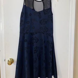 Blue & Black Fit and Flare Dress